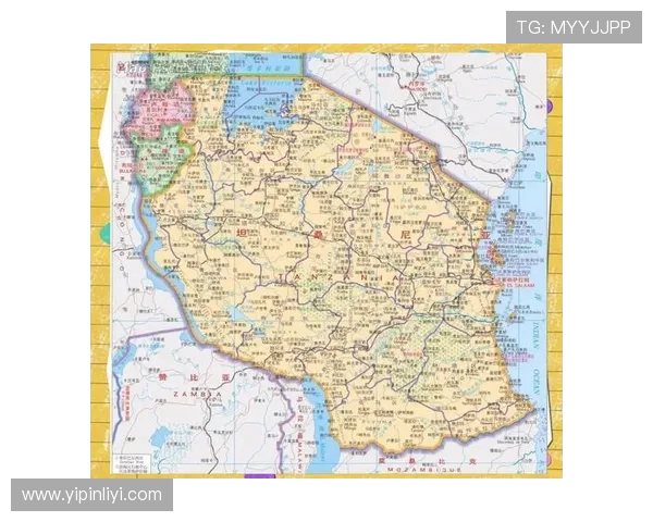 肯尼亚与坦桑尼亚的精彩对决分析及未来发展展望 肯尼亚与坦桑尼亚的精彩对决分析及未来发展展望