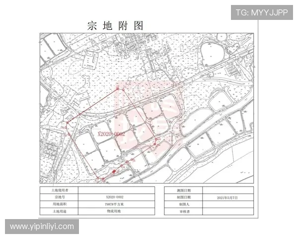 韩硕：从职场新秀到行业领军者的成长之路与成功秘诀探讨