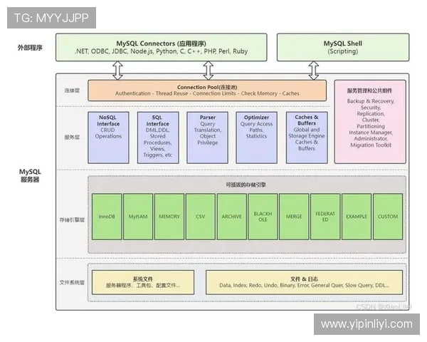 深入探讨Instagram节奏表现的数据分析与优化策略