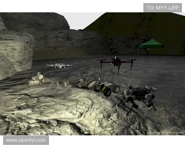 城市赛分析：IG战术布局与执行的深度评估与反思