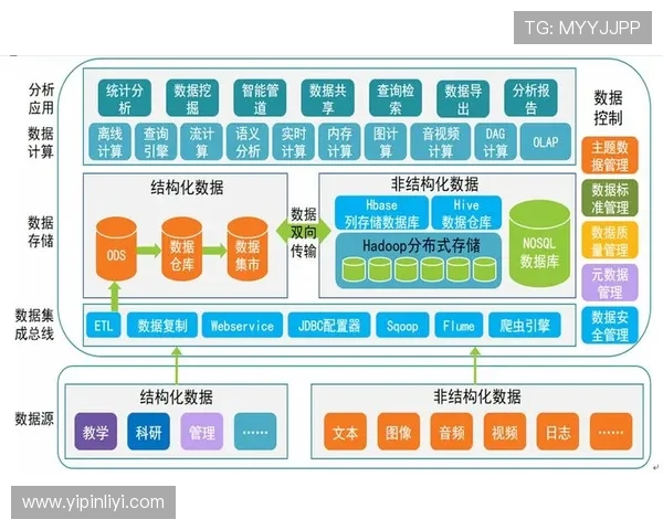 探索V5数据分析的灵活性与应用潜力的深度解析