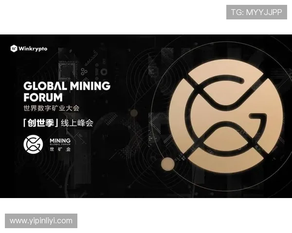 武汉攀岩队心理素质研究：挑战自我与团队协作的深度探讨
